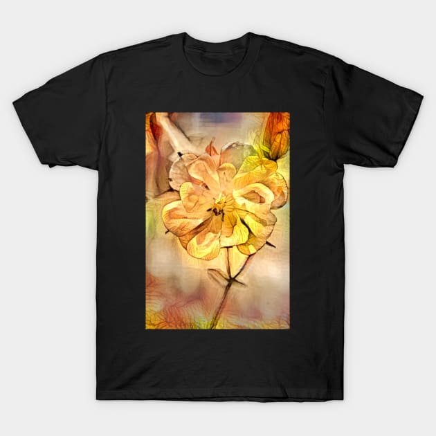 Amber Dream Columbine Flower T-Shirt by Viking Visual - Lori Svensen
